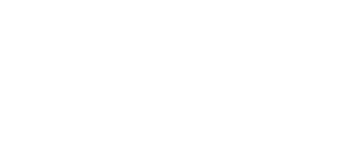 WideZike logo